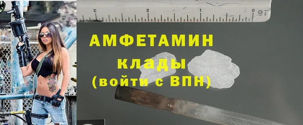 шишки Осташков