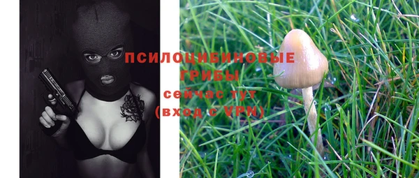 шишки Осташков