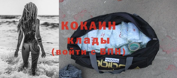 шишки Осташков